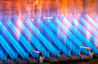 Pailton gas fired boilers